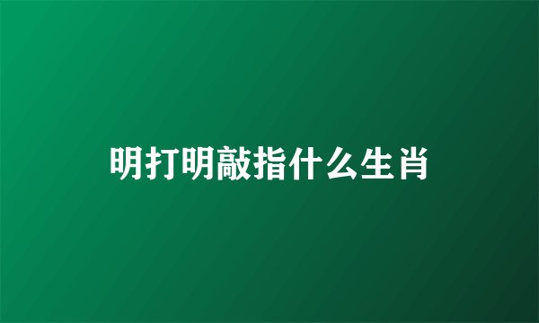 明打明敲指什么生肖
