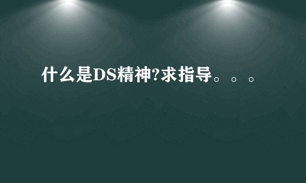 什么是DS精神?求指导。。。