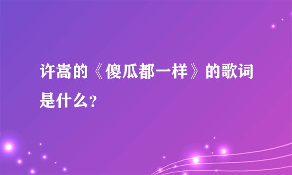 许嵩的《傻瓜都一样》的歌词是什么？
