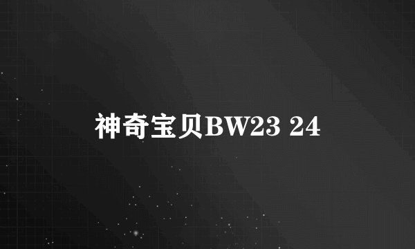 神奇宝贝BW23 24