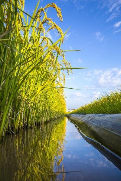 为什么蛇会进屋子里来呢？