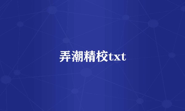 弄潮精校txt