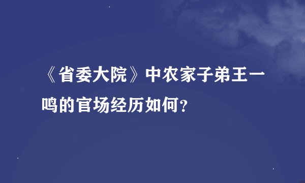 《省委大院》中农家子弟王一鸣的官场经历如何？