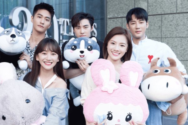 张宇菲主演的电视剧