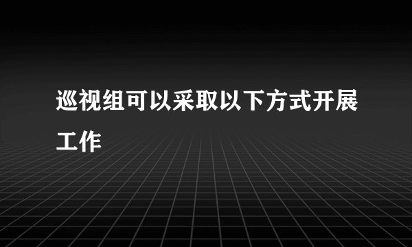 巡视组可以采取以下方式开展工作