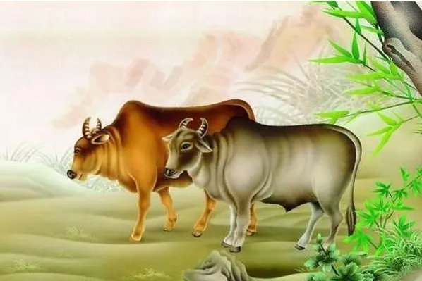 刻鹄不成猜生肖