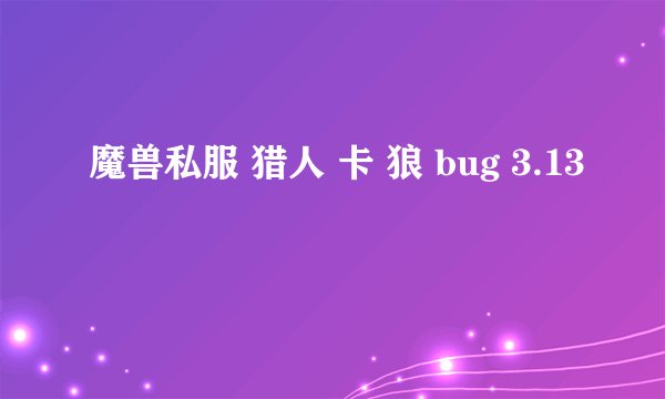 魔兽私服 猎人 卡 狼 bug 3.13