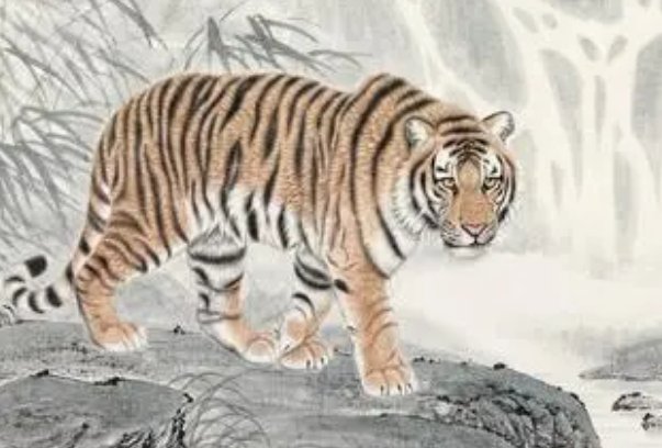 蚊力负山打一个生肖动物