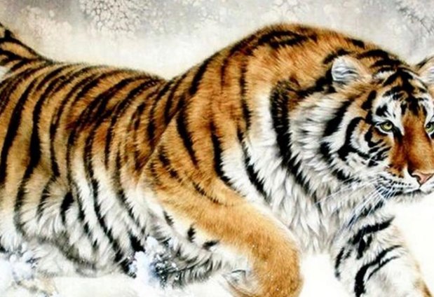 蚊力负山打一个生肖动物