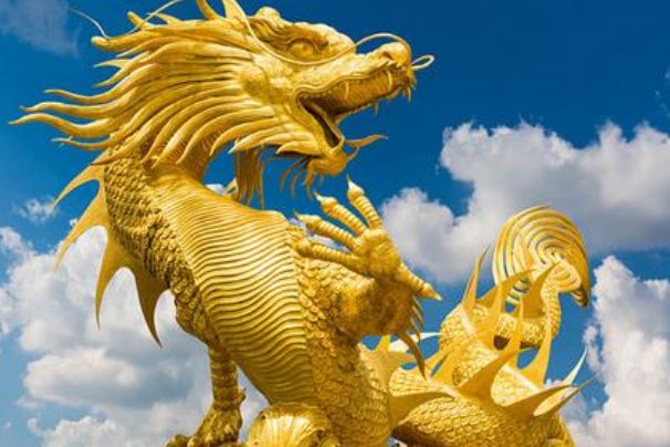 举国上下打一正确生肖