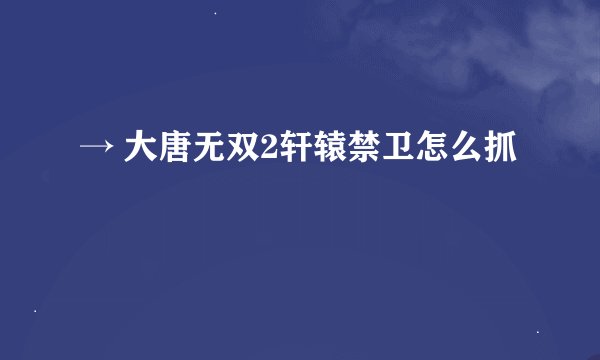 → 大唐无双2轩辕禁卫怎么抓