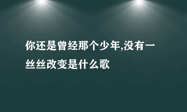 你还是曾经那个少年,没有一丝丝改变是什么歌