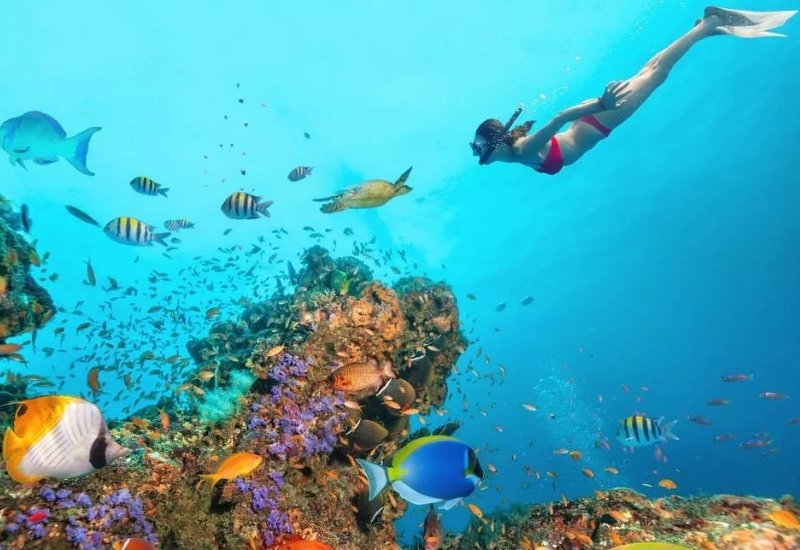 你曾经做过怎样的五彩斑斓的梦?回忆一下,尝试用优美的语言写下来