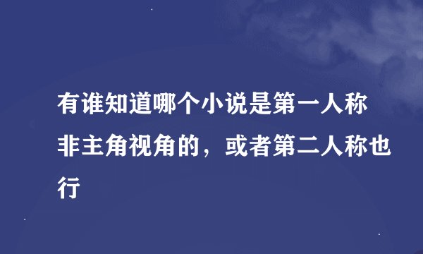 有谁知道哪个小说是第一人称非主角视角的，或者第二人称也行