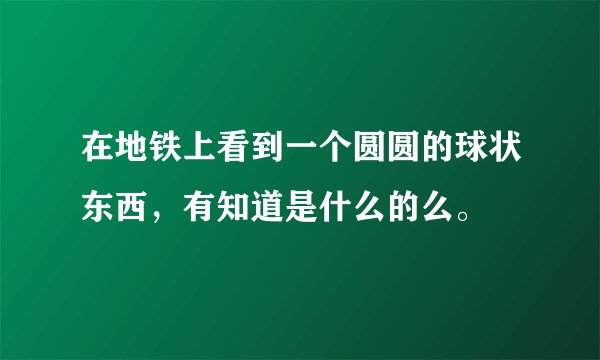 在地铁上看到一个圆圆的球状东西，有知道是什么的么。