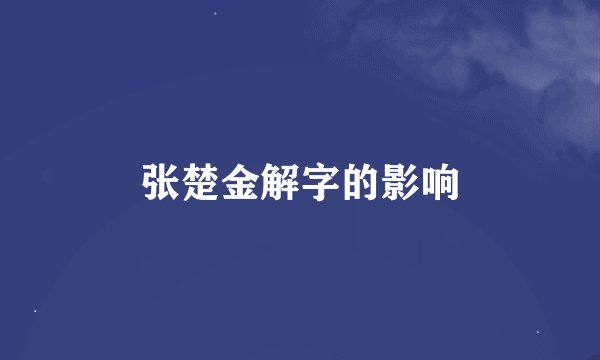 张楚金解字的影响