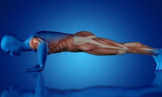 人体功率是什么，它是怎样计算的？