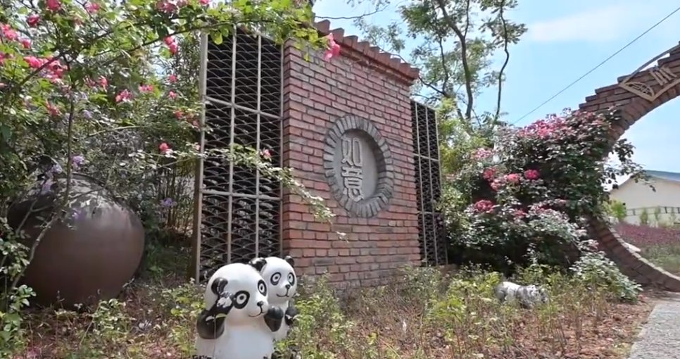 46岁女摄影师因租房改得漂亮，获邀改造一个村，你怎么看？