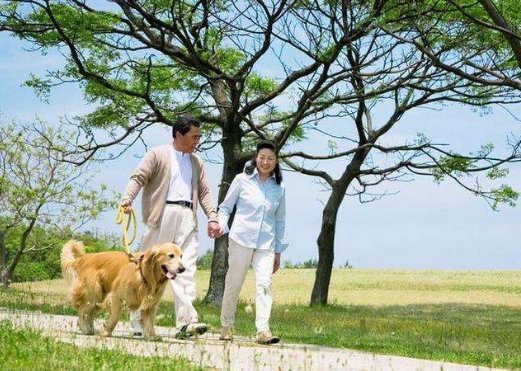 歩む（あゆむ）和歩く（あるく）有什么区别？