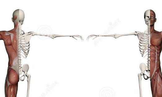 人体功率是什么，它是怎样计算的？