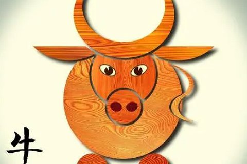 杀回马枪代表什么动物