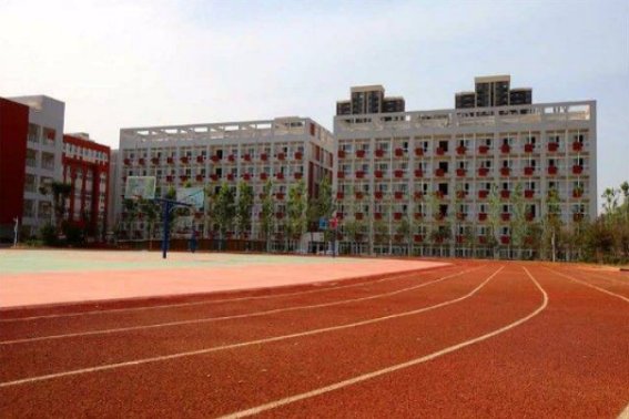 郑州外国语学校都有哪些分校？