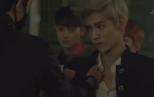 谁能告诉我EXO《狼与美女》(Wolf)MV剧情版主要讲的是什么样的故事？？谢谢谢谢～