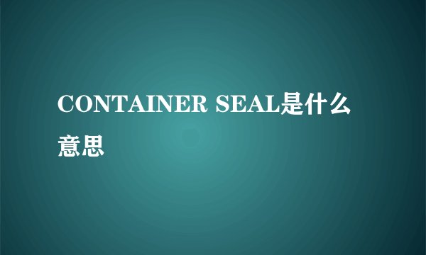 CONTAINER SEAL是什么意思