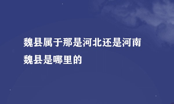 魏县属于那是河北还是河南 魏县是哪里的