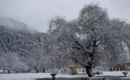 2020最冷冬天是不是谣传