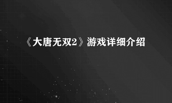 《大唐无双2》游戏详细介绍