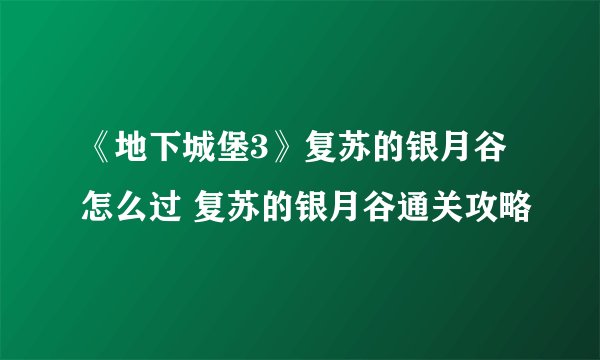 《地下城堡3》复苏的银月谷怎么过 复苏的银月谷通关攻略