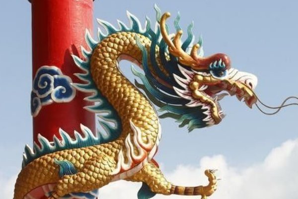 举国上下打一正确生肖