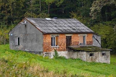 为什么蛇会进屋子里来呢？