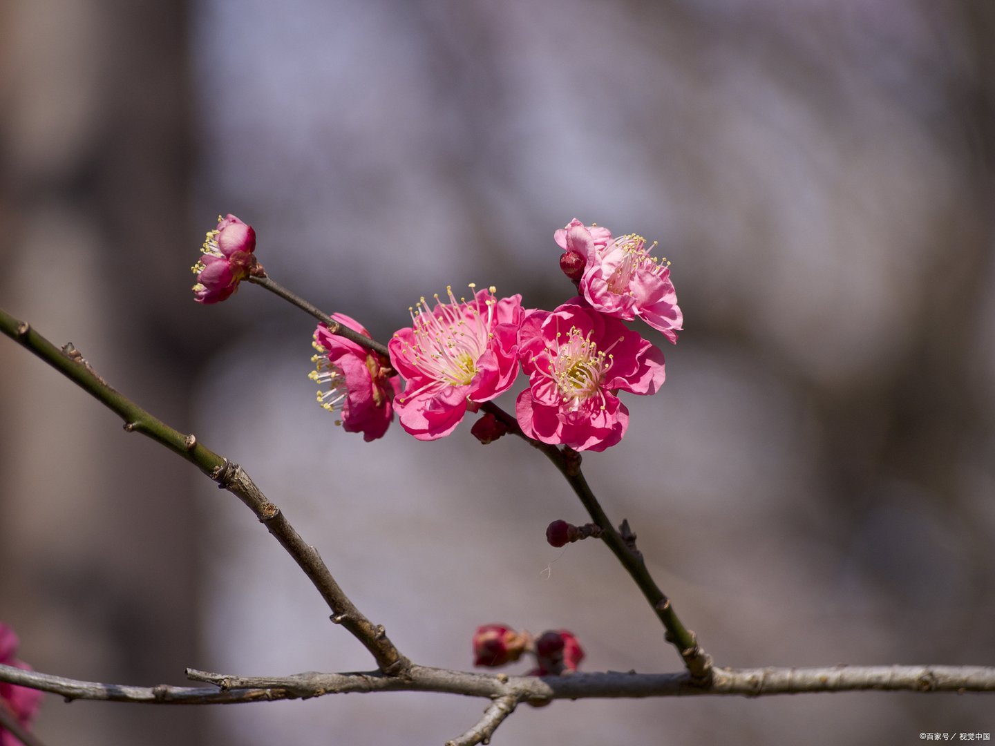 家庭秘密50集大结局介绍