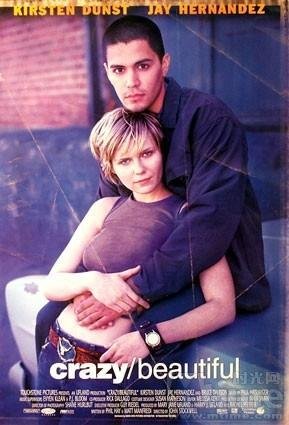 美丽与疯狂的介绍