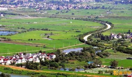 为什么蛇会进屋子里来呢？