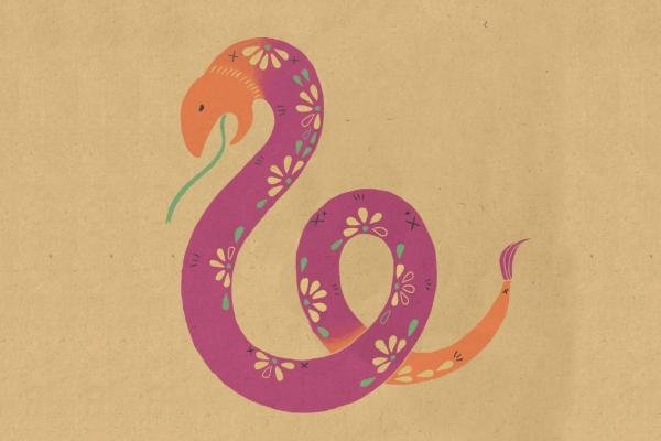 受夹板罪是什么生肖