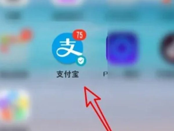支付宝红包在哪里打开