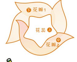 抗战胜利花是什么,怎么做?