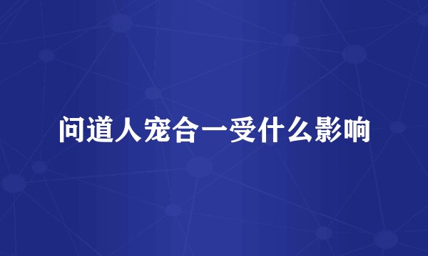 问道人宠合一受什么影响