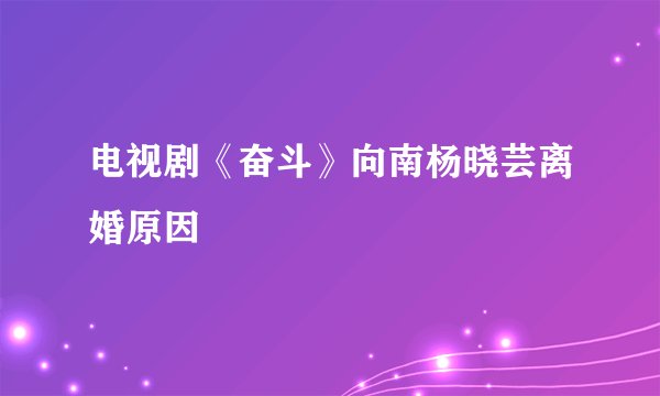电视剧《奋斗》向南杨晓芸离婚原因