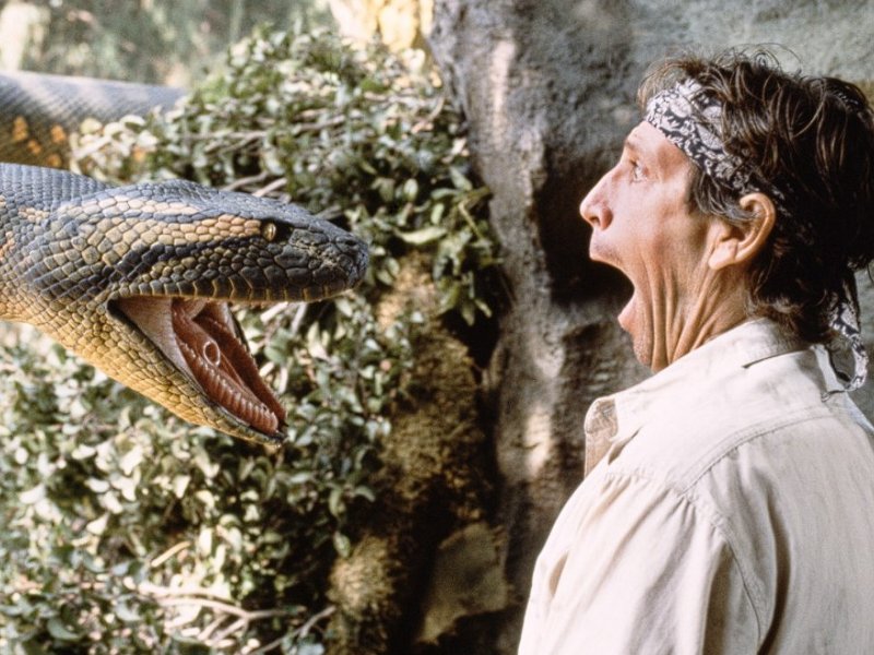 10部高分蟒蛇电影