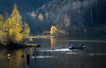 泛舟五湖是指什么动物