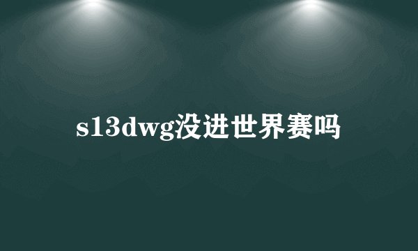 s13dwg没进世界赛吗