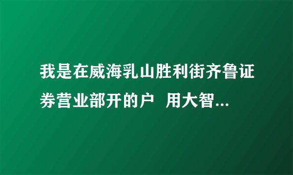 我是在威海乳山胜利街齐鲁证券营业部开的户  用大智慧交易软件用那个营业部?