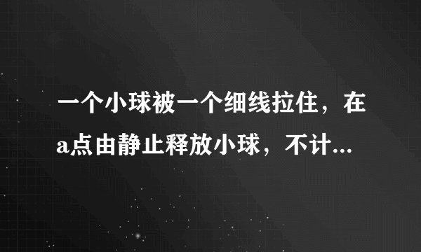 一个小球被一个细线拉住，在a点由静止释放小球，不计摩擦，小球在a,b两点之间来回摆动。当小球摆动到