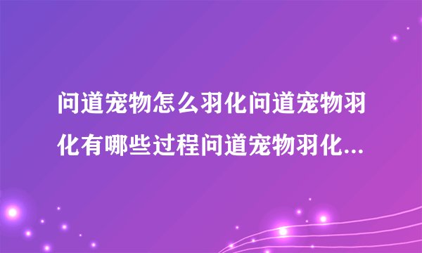 问道宠物怎么羽化问道宠物羽化有哪些过程问道宠物羽化修炼怎么做
