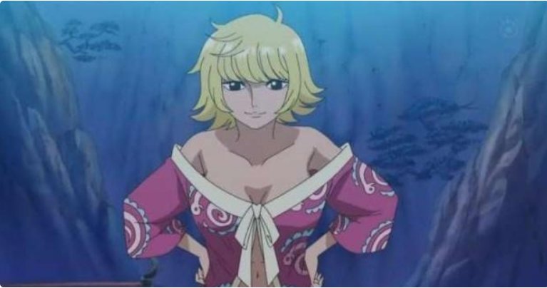 《海贼王》中倒追路飞的女角色都有哪几个？