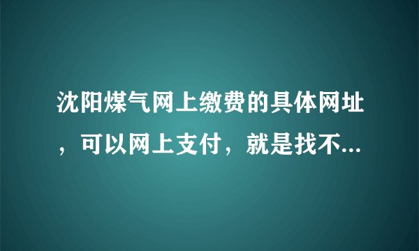 沈阳煤气网上缴费的具体网址，可以网上支付，就是找不到缴费的地址